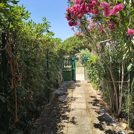 Sa Mariposa