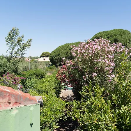 Sa Mariposa Appartement *